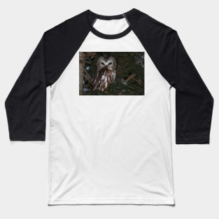 Saw-whet Owl Baseball T-Shirt